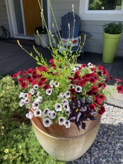 Giant pots