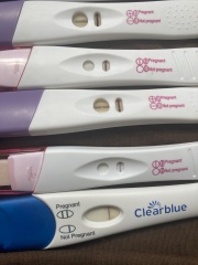 Clear blue test. Evap line or positive