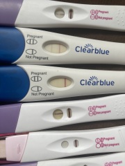 Clear blue test. Evap line or positive