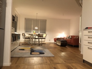 White or cream blinds for minimalist sunny living room?