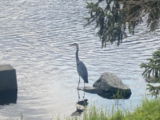 Come and tell me your dull and unexciting news 25: Calmly through the day 