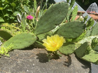 Come and tell me your dull and unexciting news 25: Calmly through the day 