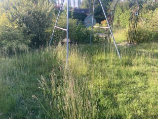 Anyone not cutting their grass - how's it going?
