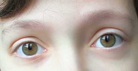 What colour would you say DD's eyes are?