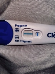 Pregnancy test 