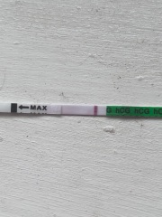 pregnancy test