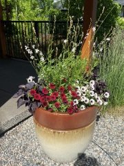 Giant pots