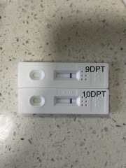 10P5DT
