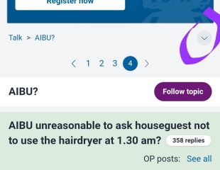 AIBU unreasonable to ask houseguest not to use the hairdryer at 1.30 am?