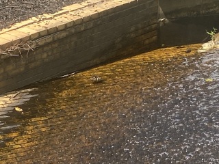 Come and tell me your dull and unexciting news 25: Calmly through the day 