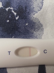pregnancy test