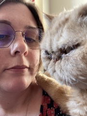 I think Cheddar is feeling better.