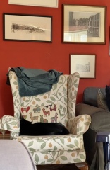 What colour is your front room