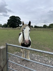 Please can I share some happy news?