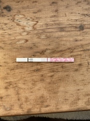 Has anyone used early bird tests ?