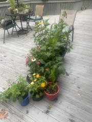 Come and tell me your dull and unexciting news 25: Calmly through the day 