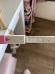 Clear blue ovulation sticks??