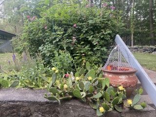 Come and tell me your dull and unexciting news 25: Calmly through the day 