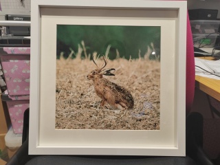 Any Witches Here?- Part 18