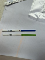 10dpo tests?