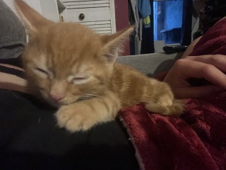 Meet our new addition!