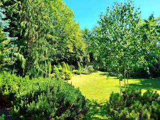The lovely bit of your house