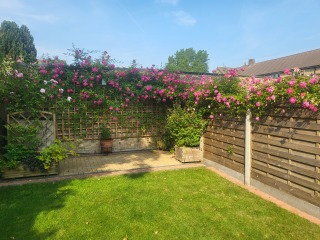To block some light to neighbour?