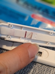 10dpo.evap or faint positive?