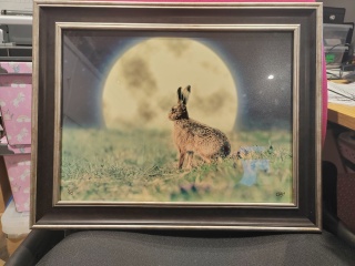 Any Witches Here?- Part 18