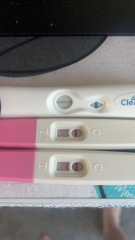 8DPO, BFP or EVAP?