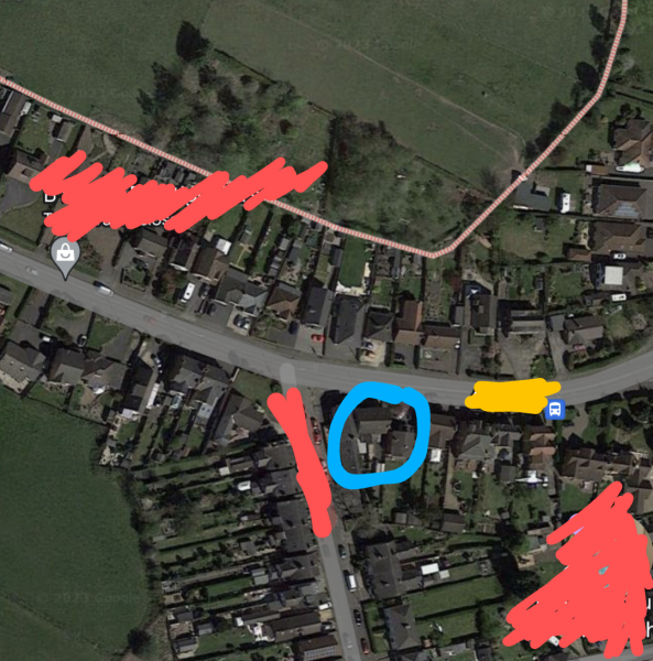 Cats and main road?