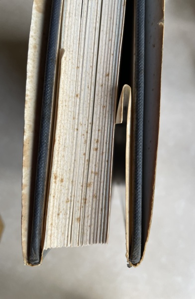 Is this mould or dust?