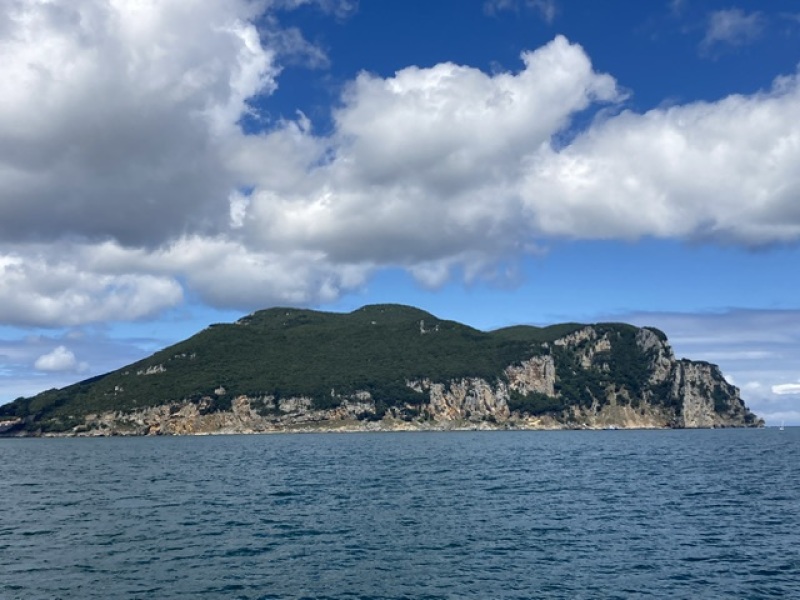 The Saxenda Sisterhood 