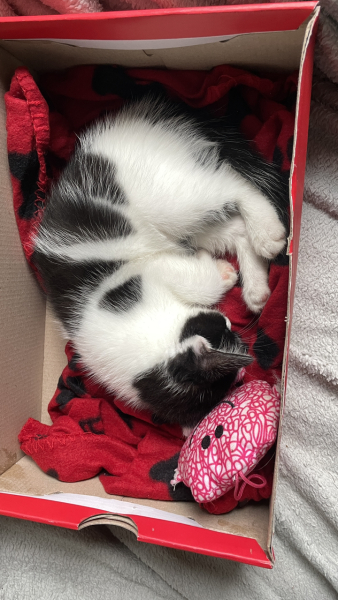 Name suggestions!