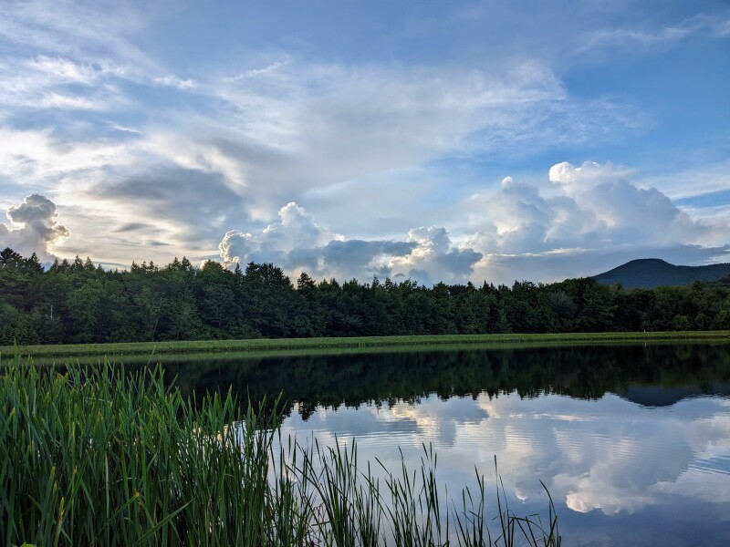 Pamela thread 3 - Bile Duct Cancer, off to London! 