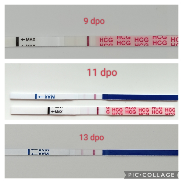 1DPO... Any tww buddies? 