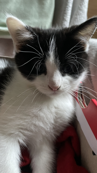 Name suggestions!