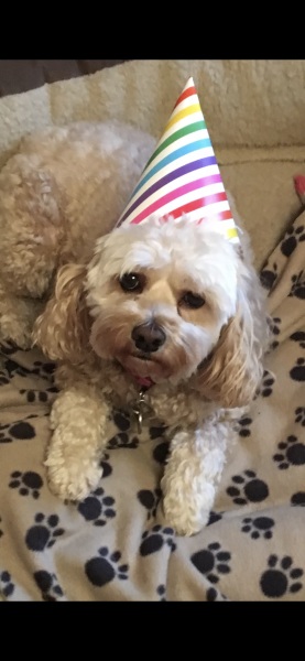 Pamela - Bile Duct Cancer, thread 4, London has given me a chance! 