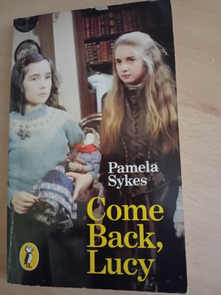 Haunted House novels