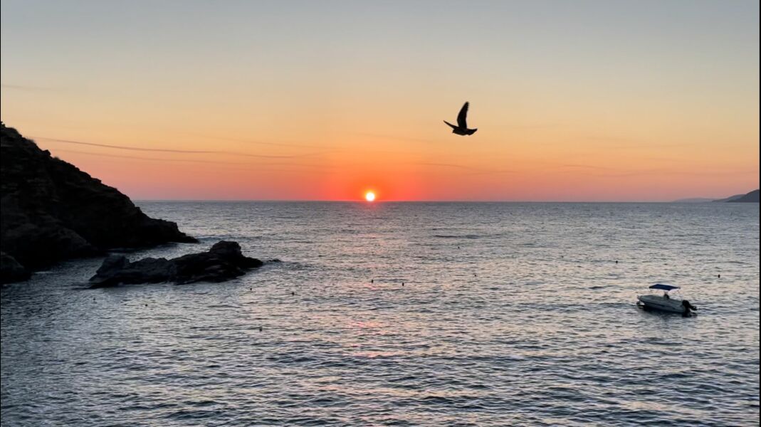 Pamela thread 5 - Bile Duct Cancer, chemo begins