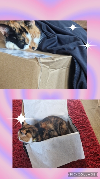 Pamela - Bile Duct Cancer, thread 4, London has given me a chance! 