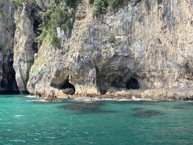 The Saxenda Sisterhood 