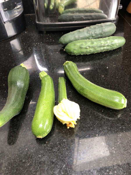 What have you done in the garden today? Part 2