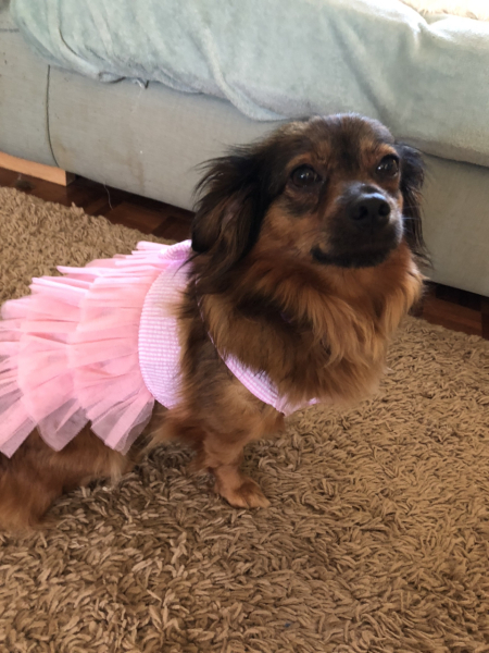 Pamela thread 5 - Bile Duct Cancer, chemo begins