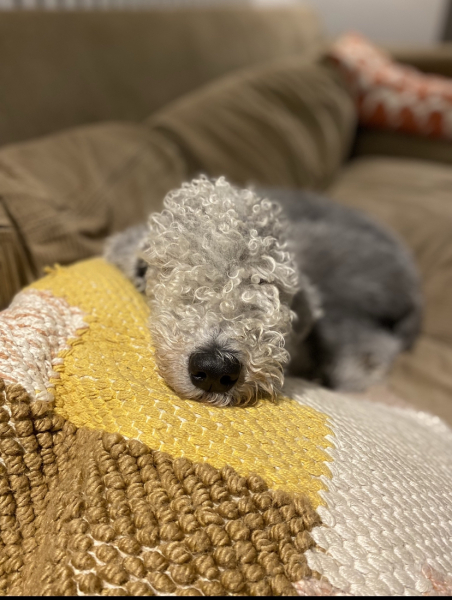 Pamela thread 6 - Bile Duct Cancer, Continued