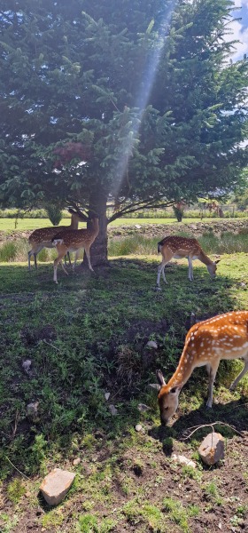 Pamela - Bile Duct Cancer, thread 4, London has given me a chance! 