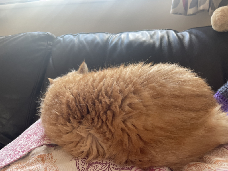 Excessive moulting