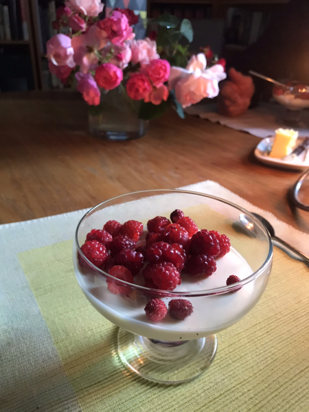 Summer 23 Boot Camp, Week 3: (maybe) you can relax (a bit)