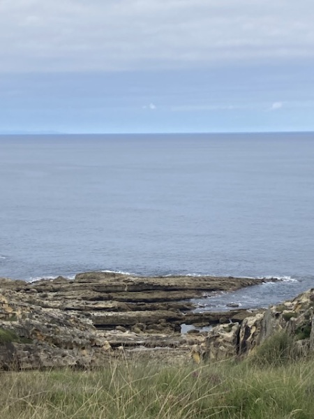 The Saxenda Sisterhood 