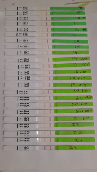 Help BFP to AF to BFP to BFN to positive opk and BFP 